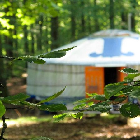 STF Nyrups Naturhotell Höör Exteriör bild