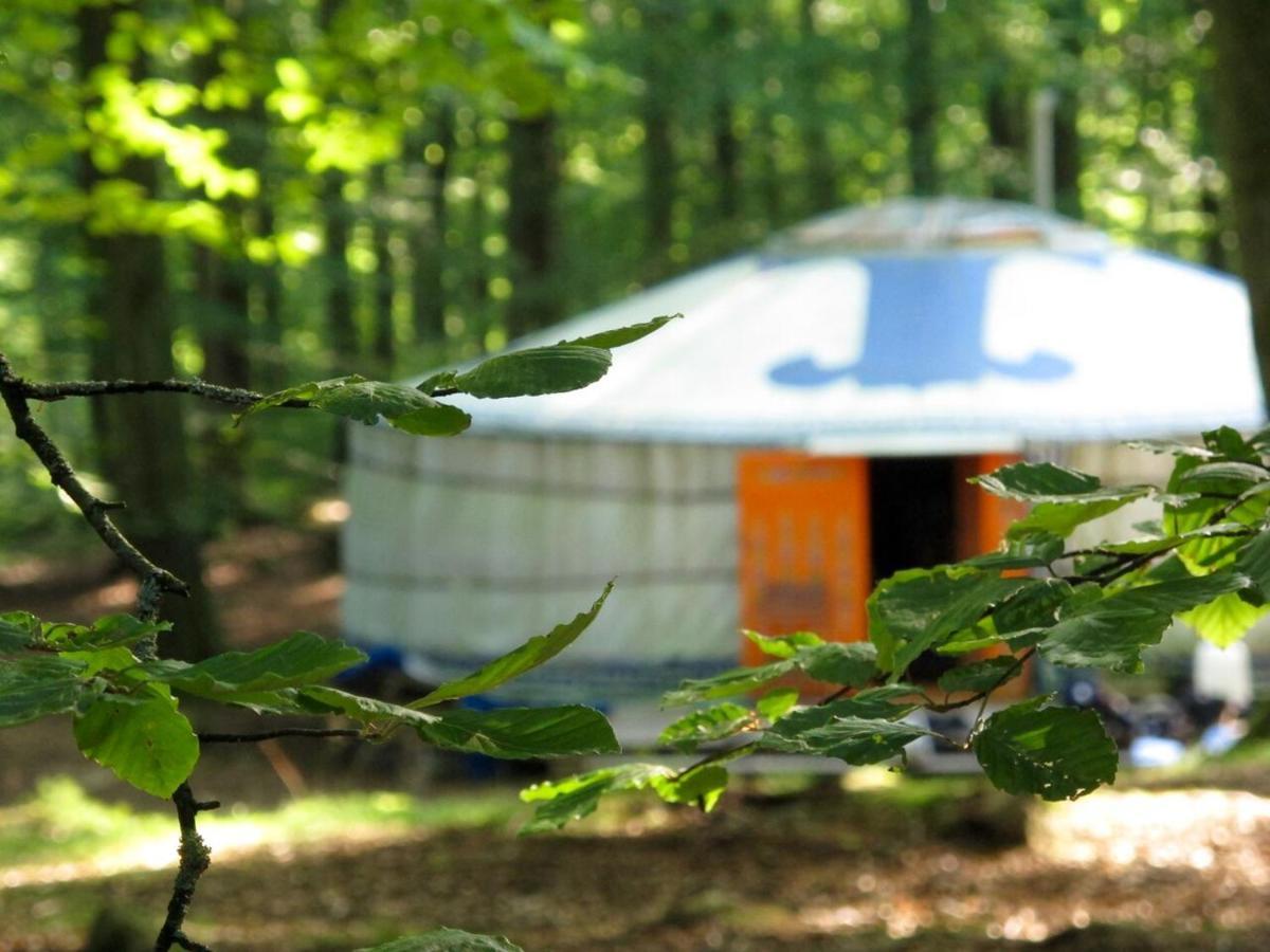 STF Nyrups Naturhotell Höör Exteriör bild